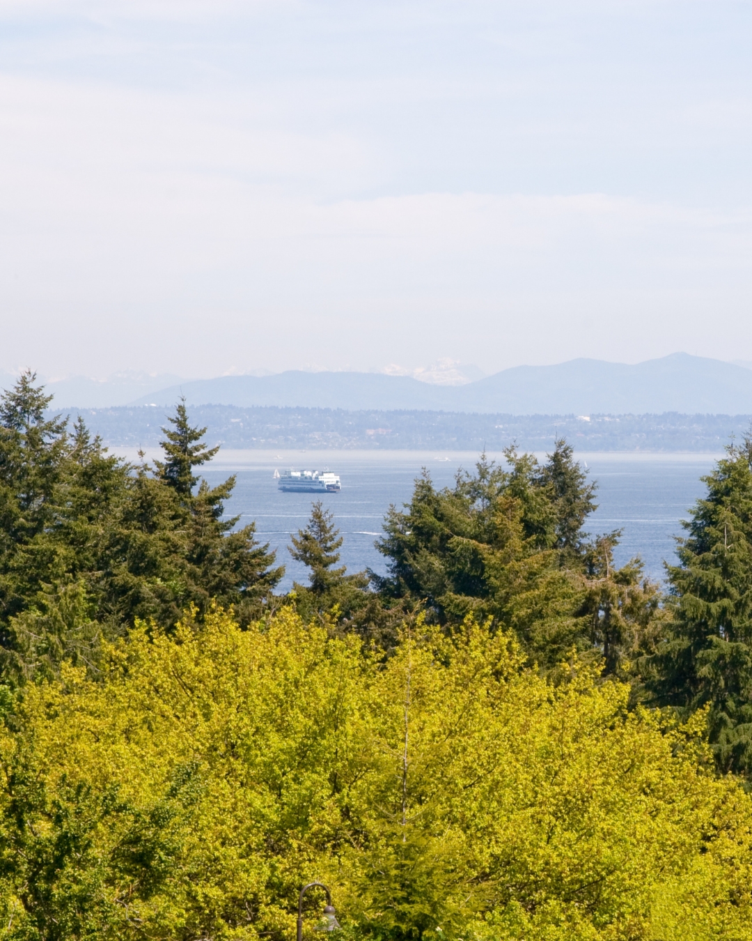 A Local's Guide to the Best Parks In Tacoma, WA - The Washington Wanderer