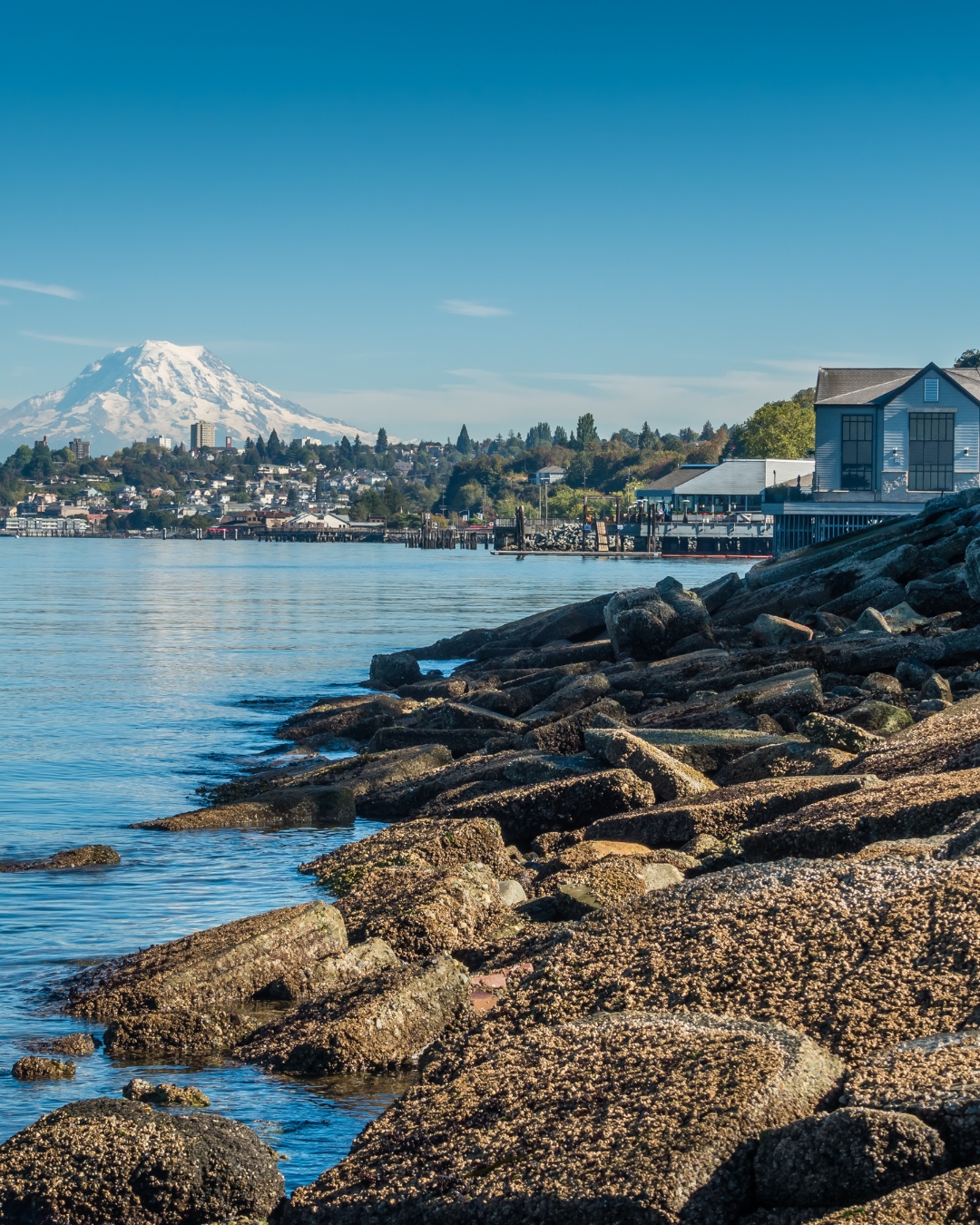 A Local's Guide to the Best Parks In Tacoma, WA - The Washington Wanderer